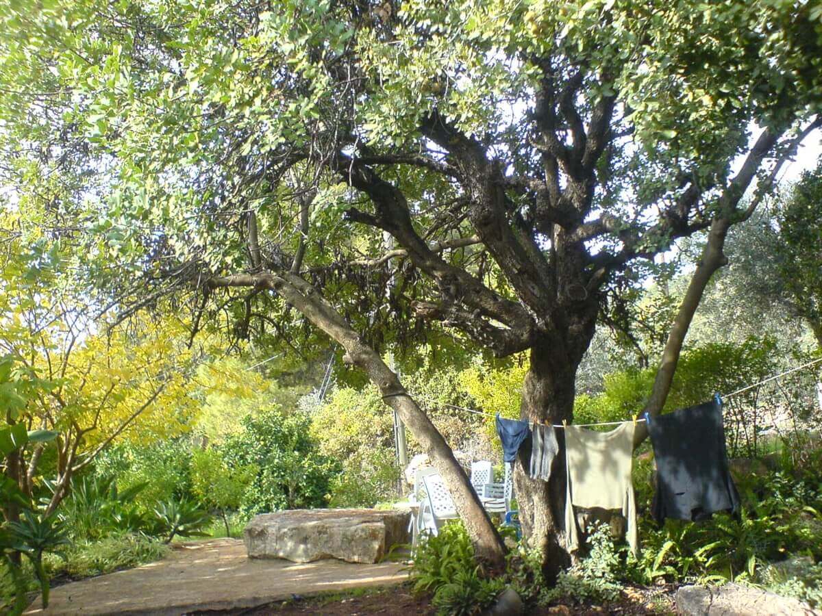 תמונה של הסטודיו - 9