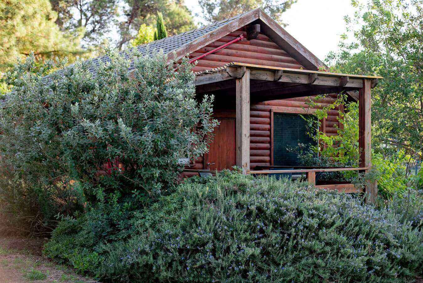 תמונה של הבקתות - 7