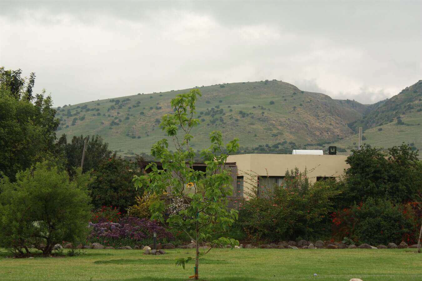 תמונה של סוויטות דלקס - 5