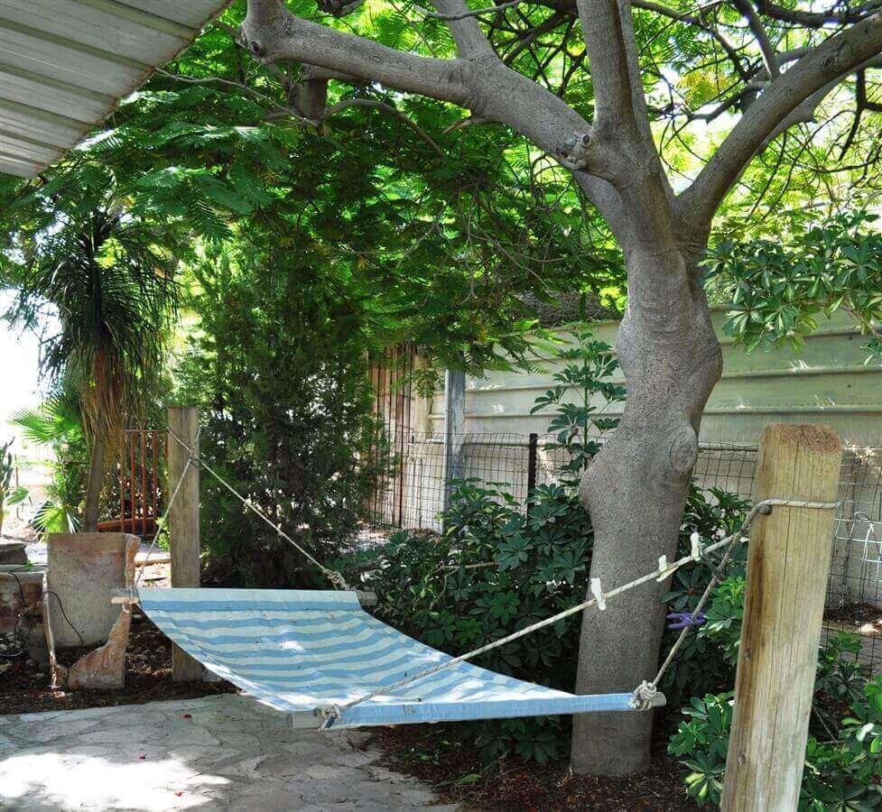 תמונה של בקתת עץ - 10