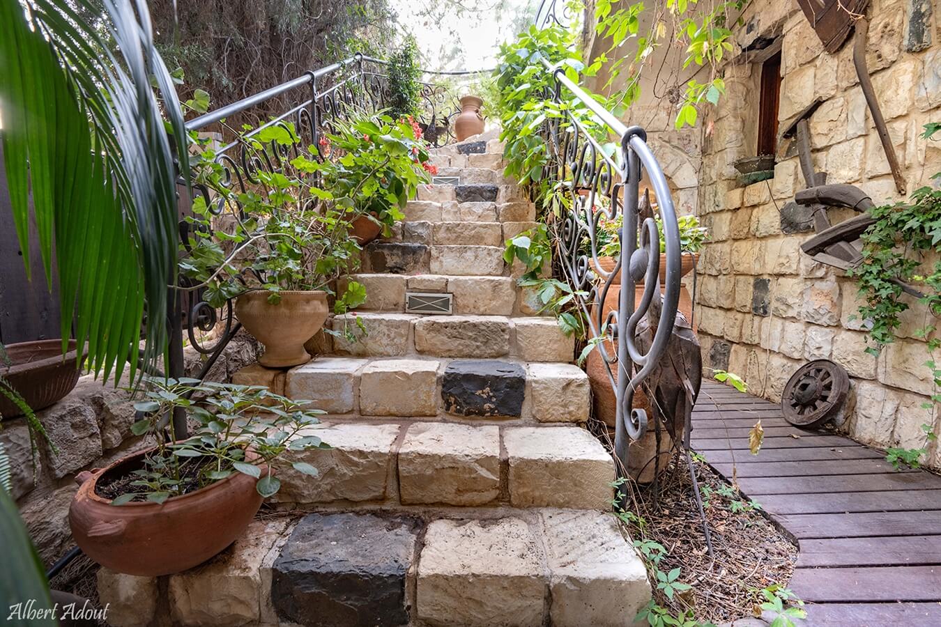 תמונה של סוויטת הנוף - 6