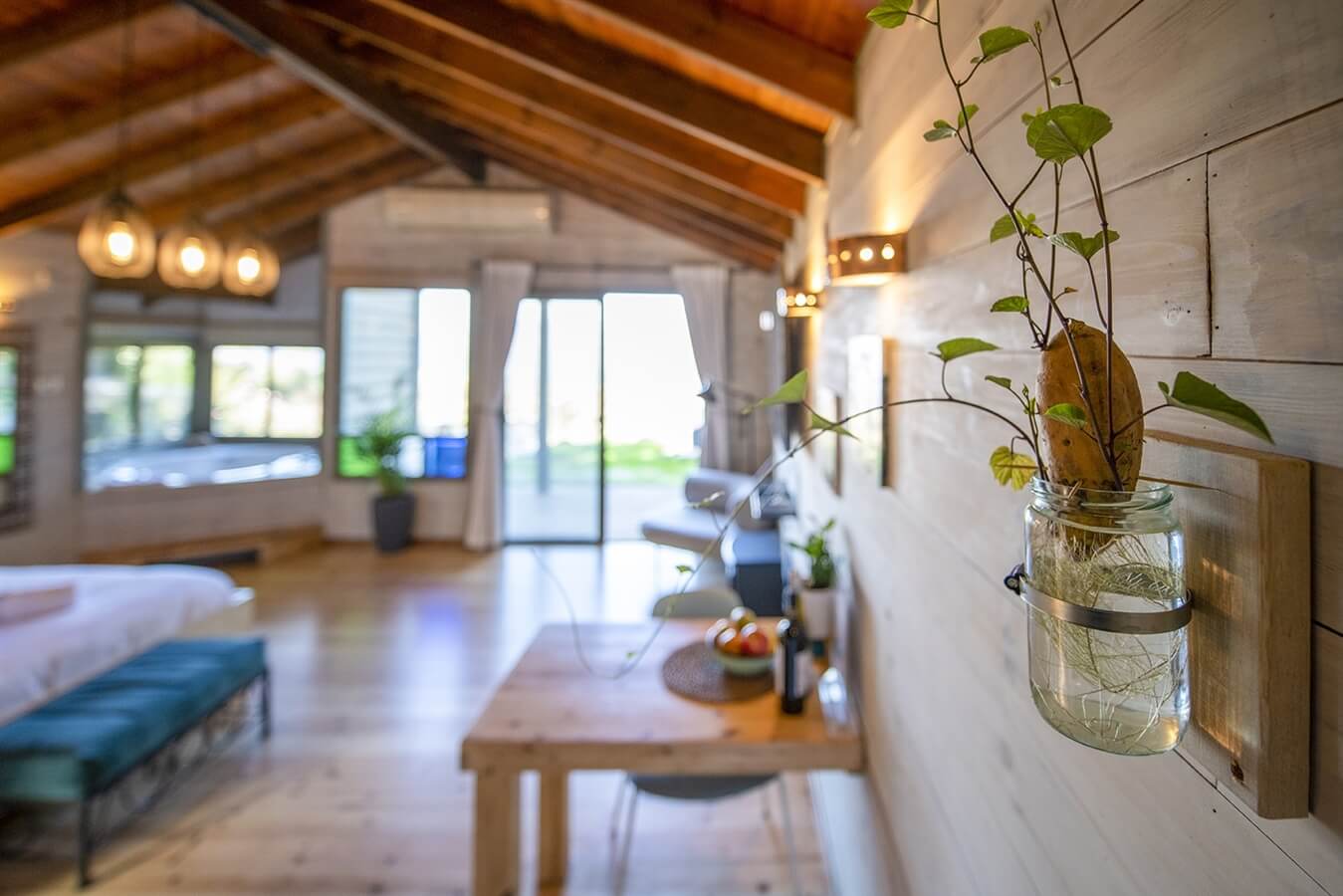 תמונה של סוויטת אווה - 3 תמונה של סוויטת אווה - 3