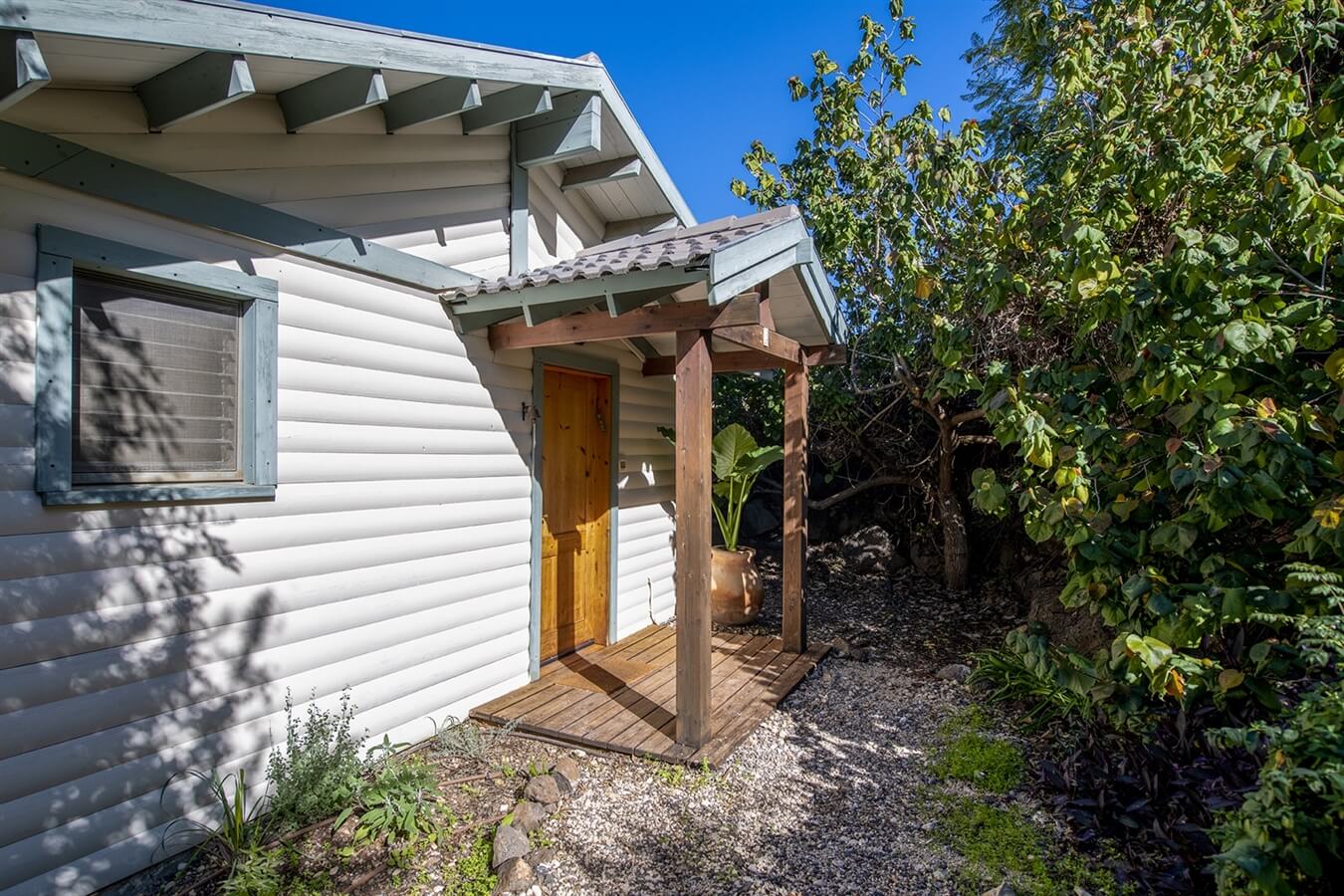 תמונה של סוויטת אווה - 9 תמונה של סוויטת אווה - 9