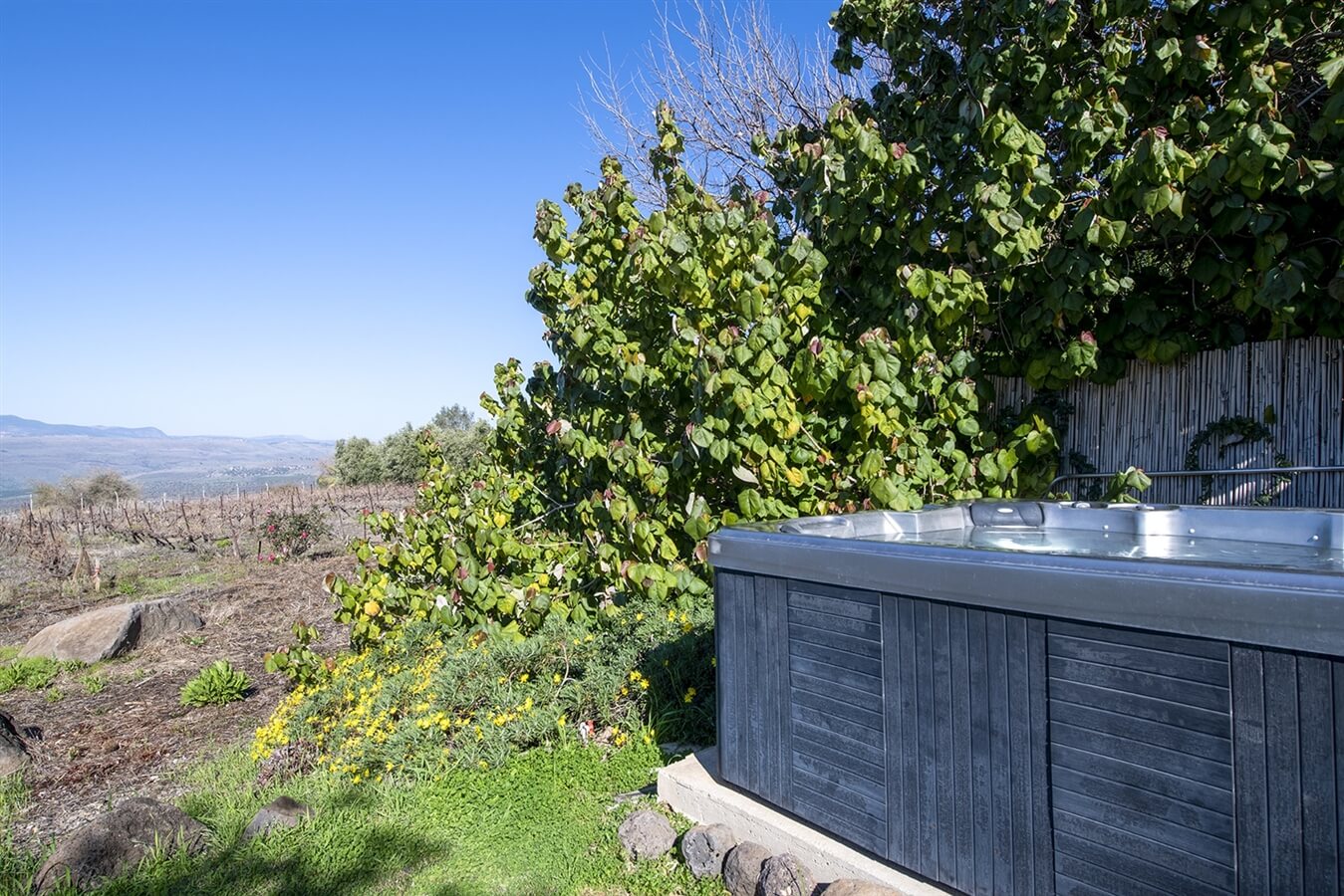 תמונה של סוויטת אדית - 10 תמונה של סוויטת אדית - 10