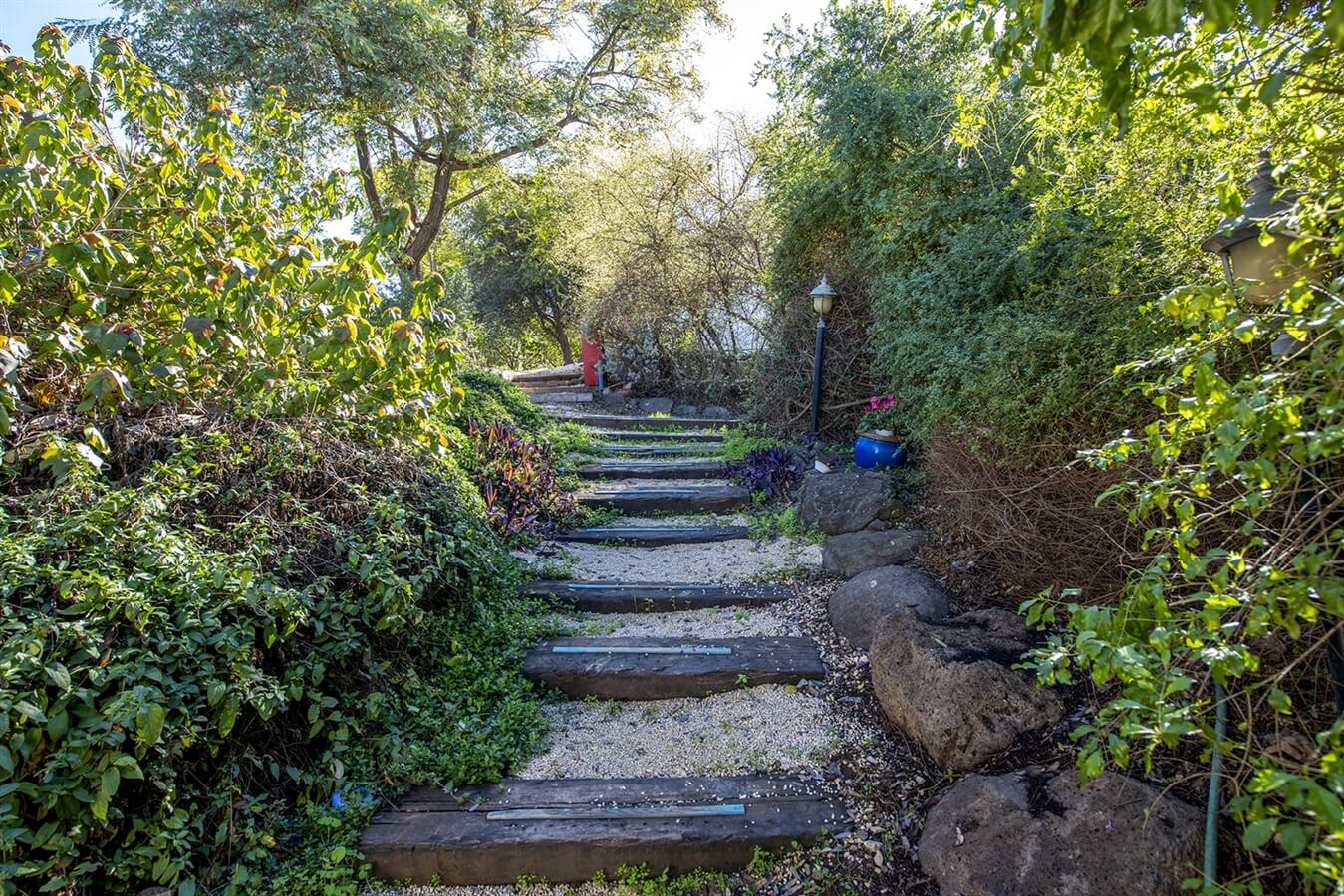 תמונה של סוויטת אווה - 10 תמונה של סוויטת אווה - 10