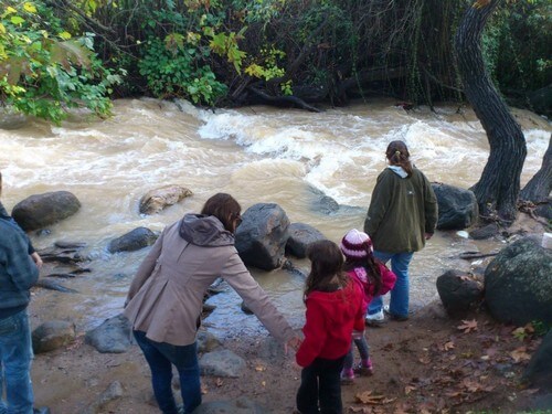 תמונה של טיולי שטח ברייזר ומיני ג'יפ