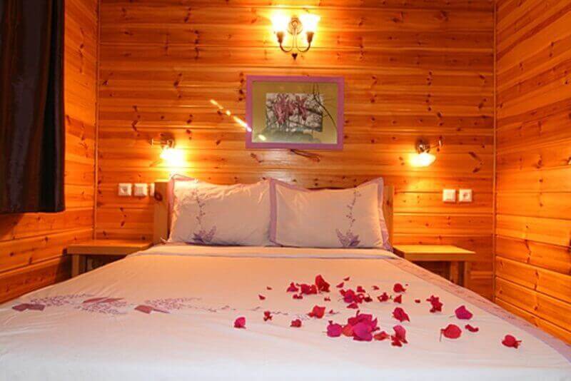 תמונה של בקתות העץ - 8