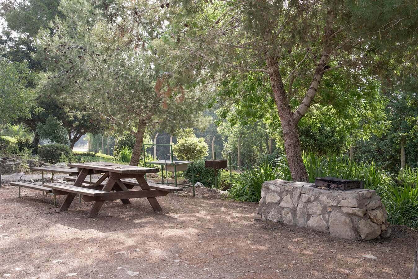 תמונה של יחידות חורש - 12