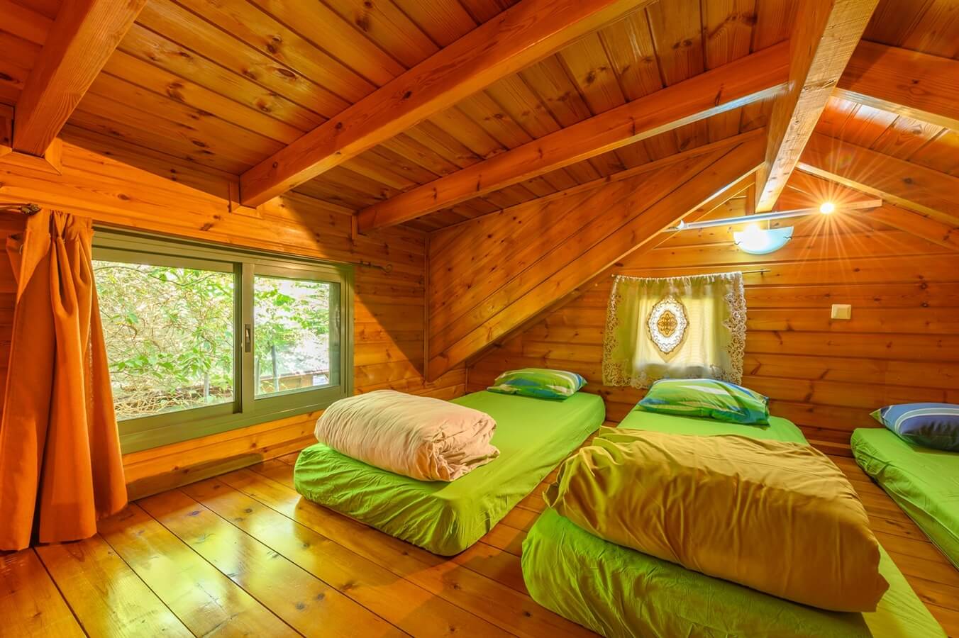 תמונה של בקתת עץ מואב - 6