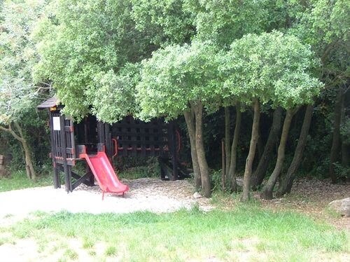 תמונה שצולמה בקו הנוף - 1 תמונה של קו הנוף - 1