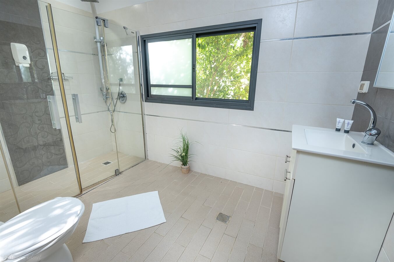 תמונה של סוויטות דקל ואילן - 6