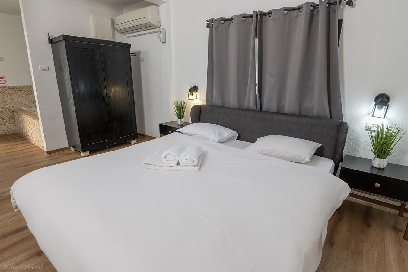 תמונה של סוויטות דקל ואילן - 5