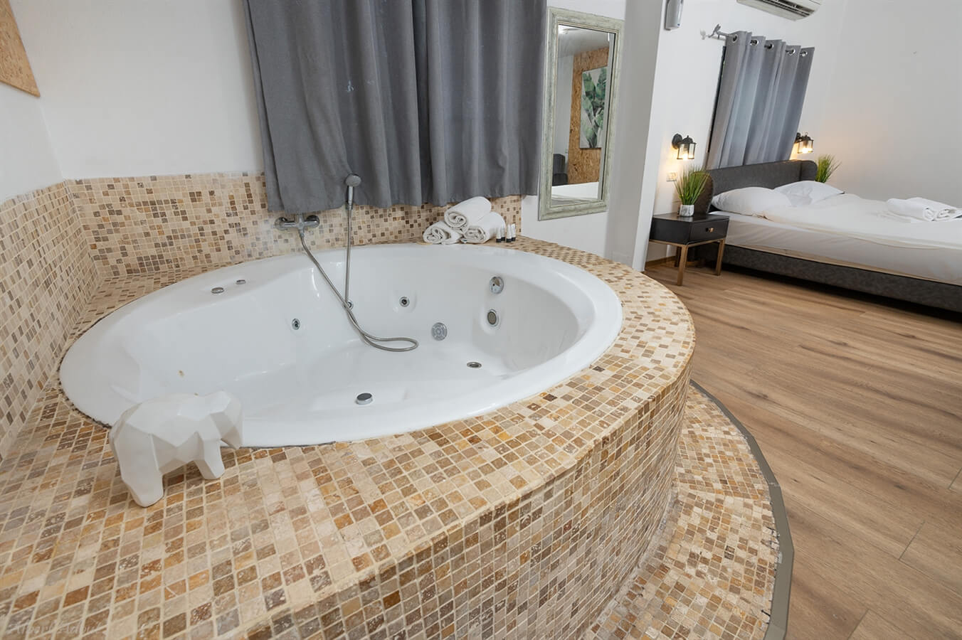 תמונה של סוויטות דקל ואילן - 10