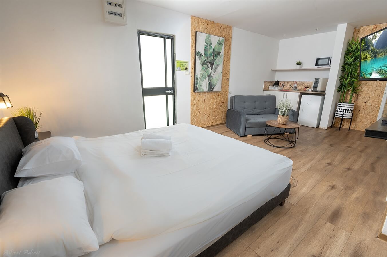 תמונה של סוויטות דקל ואילן - 3