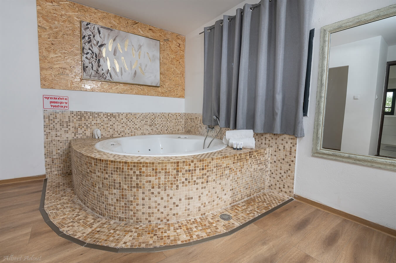 תמונה של סוויטות דקל ואילן - 2