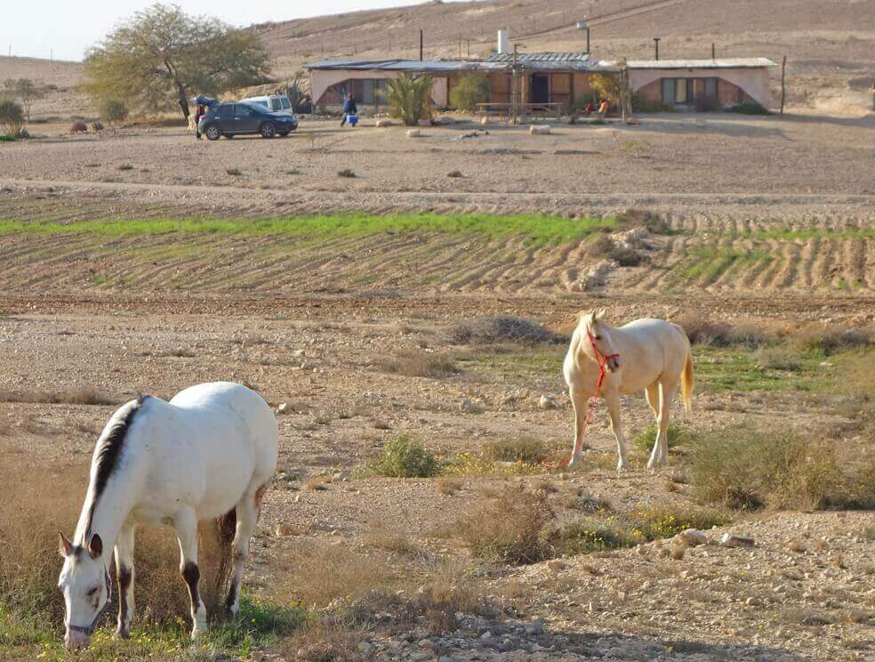 תמונה של חאן לינה - 4
