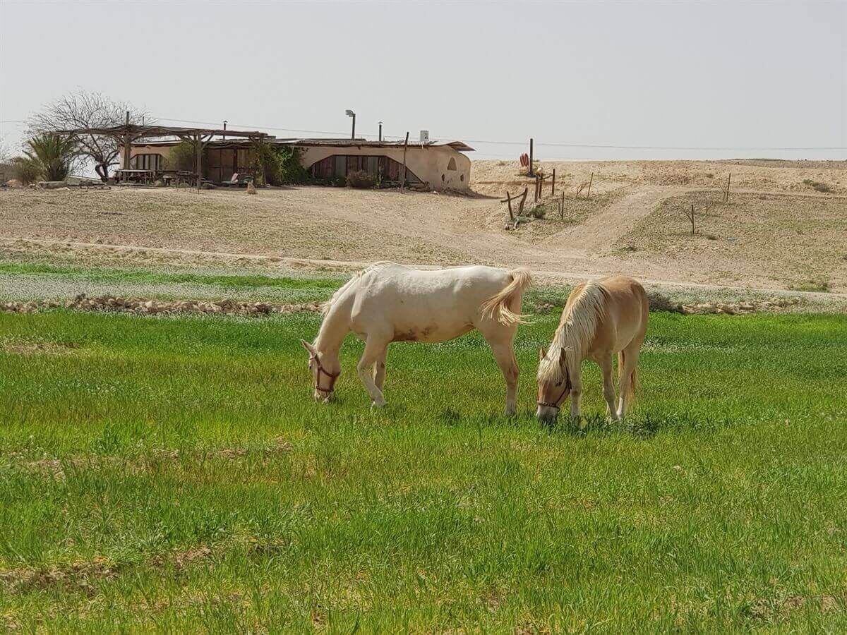 תמונה של חאן לינה - 7