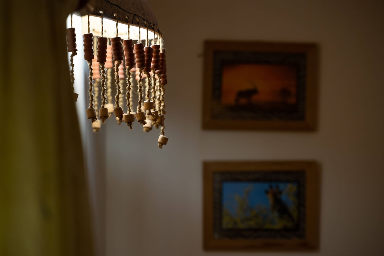 תמונה של יחידות האירוח - 3