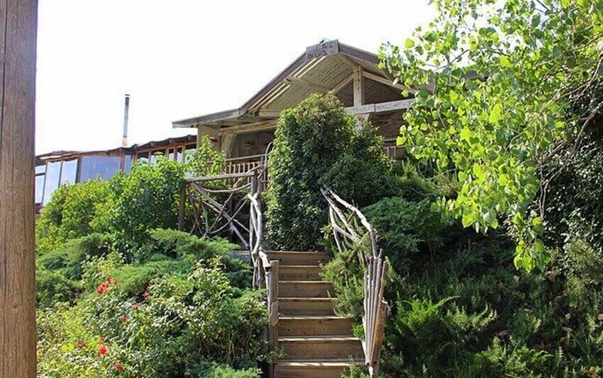 תמונה של התאומות - 5 תמונה של התאומות - 5