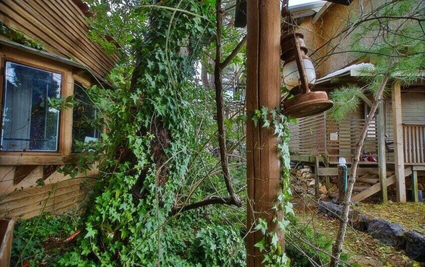 תמונה של הראשונה - 10 תמונה של הראשונה - 10