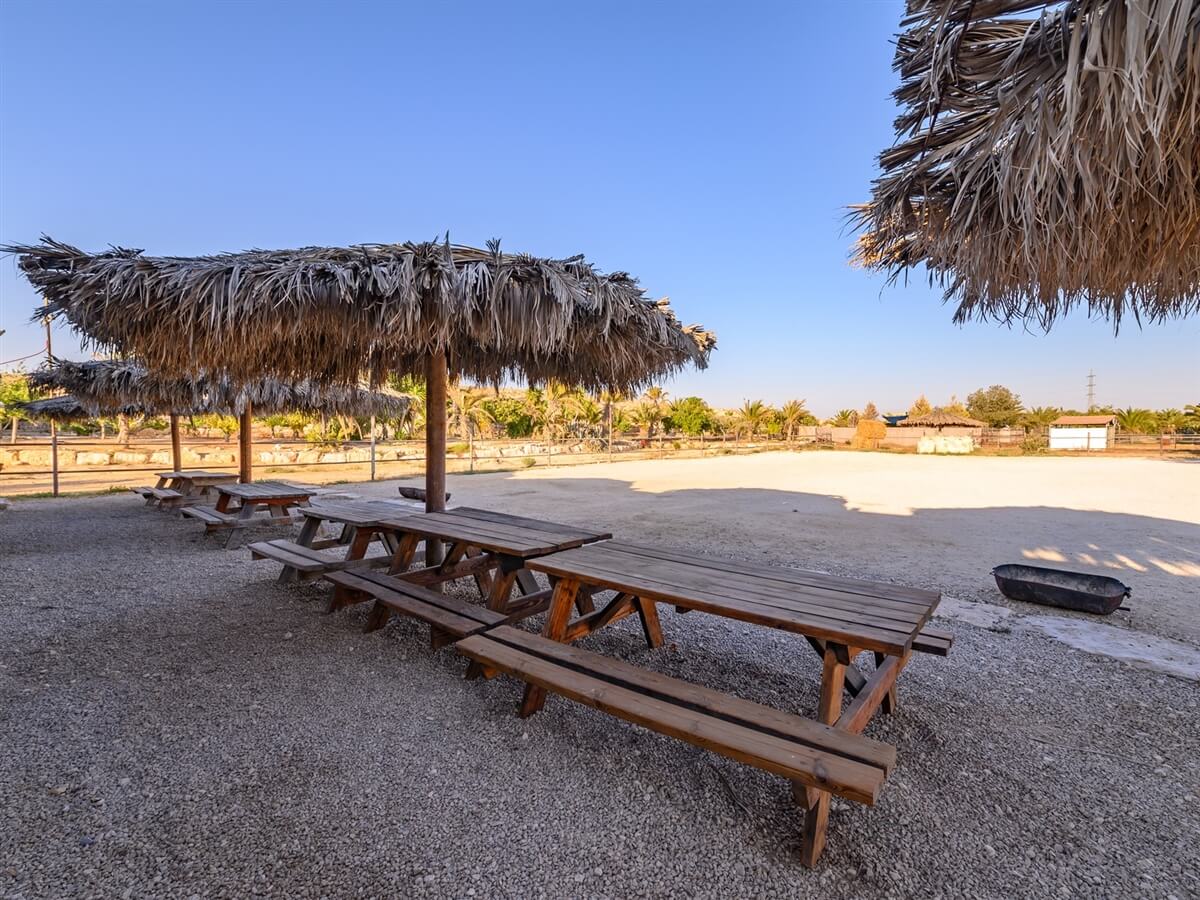 תמונה של אוהל אירוח - 10