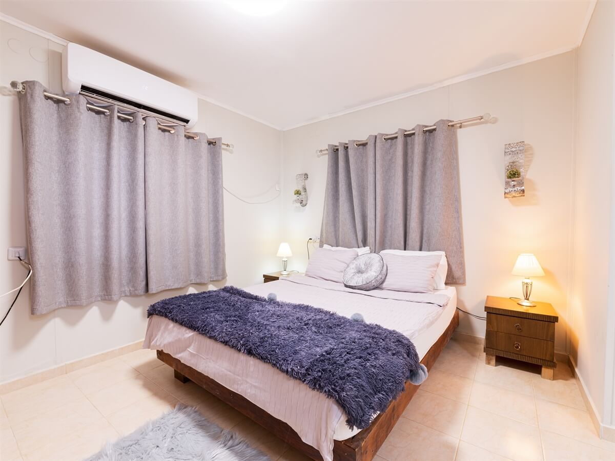 תמונה של שרדונה - 3