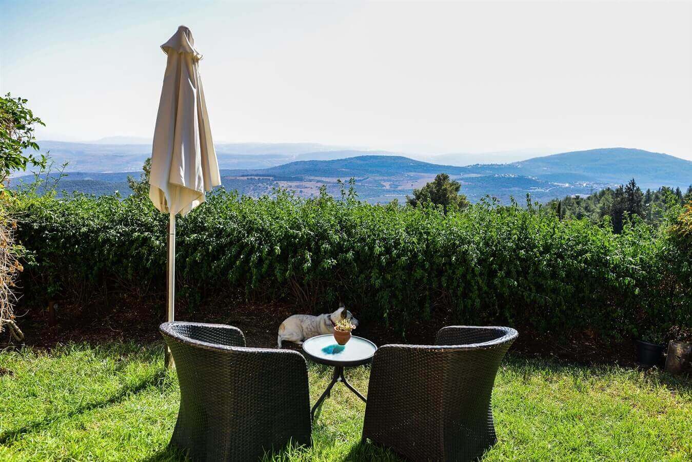 תמונה של צימר 1 - 10