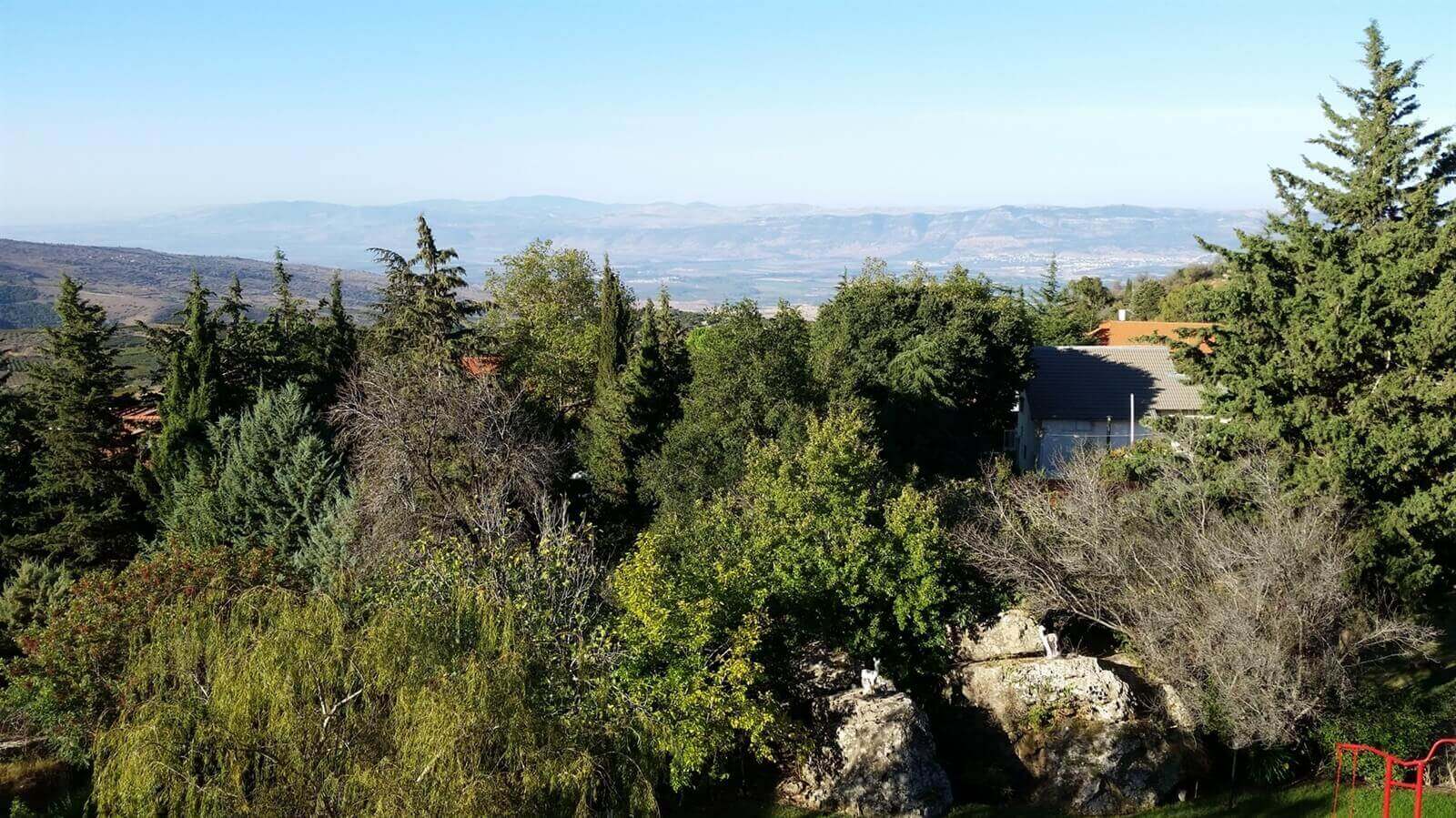תמונה של סוויטת רויאל - 6 תמונה של סוויטת רויאל - 6