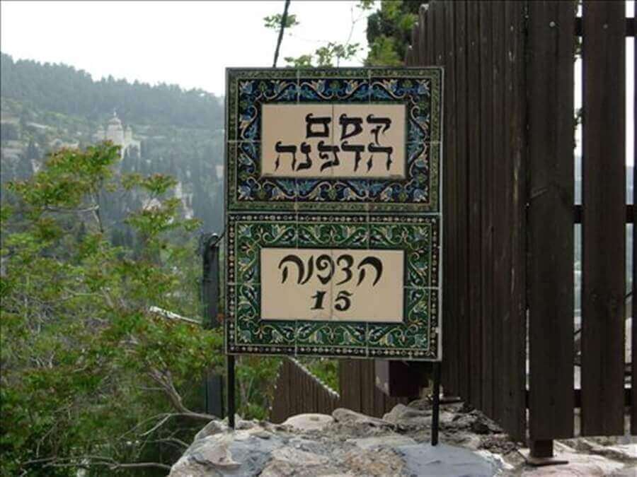 תמונה של סוויטה מס' 2 - 9