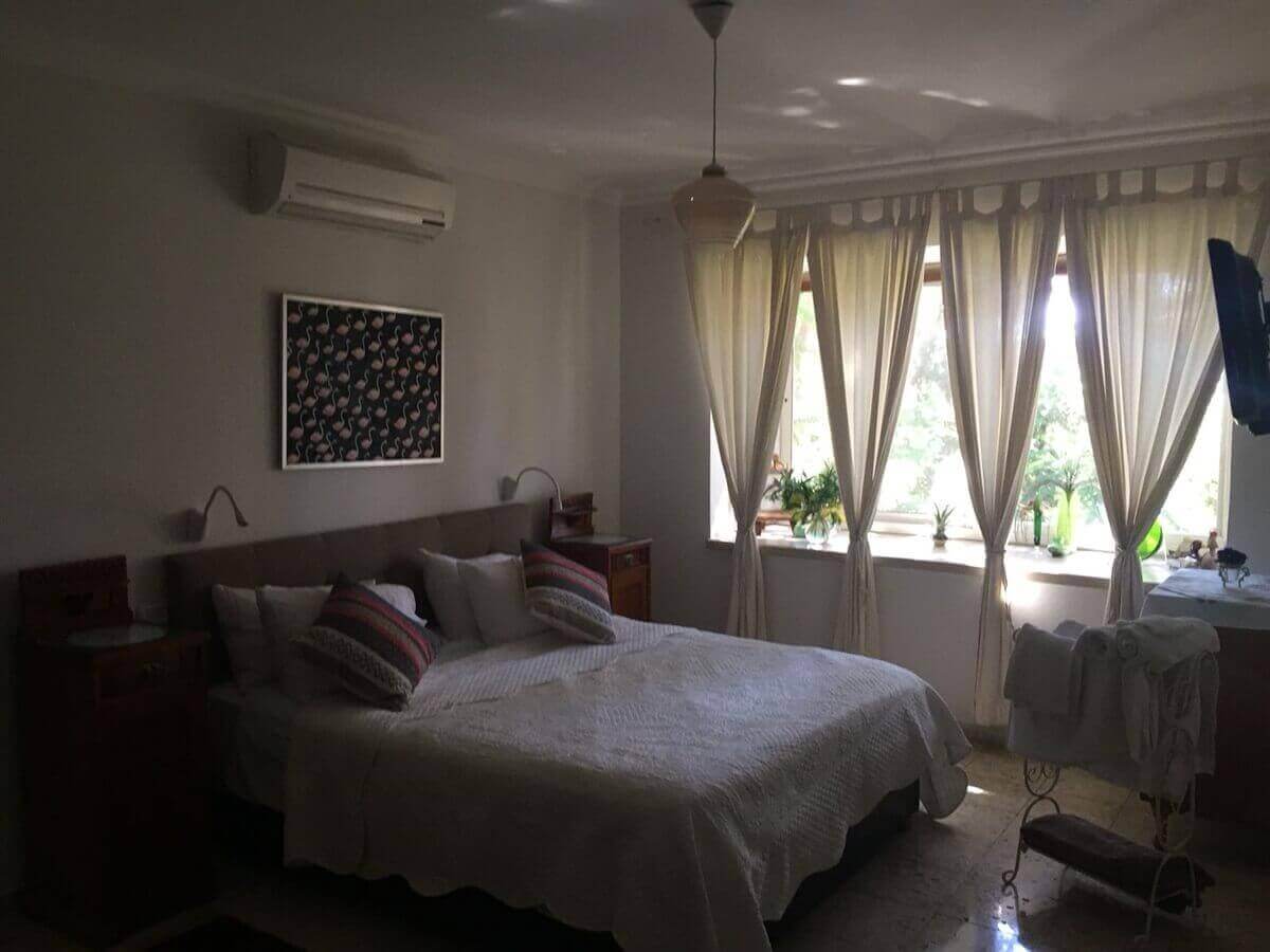 תמונה של עץ הלימון - 5