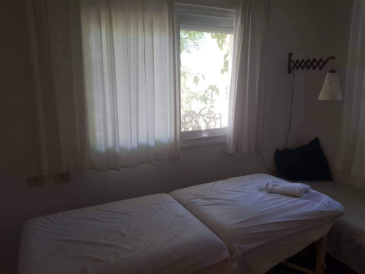 תמונה של עץ הלימון - 9