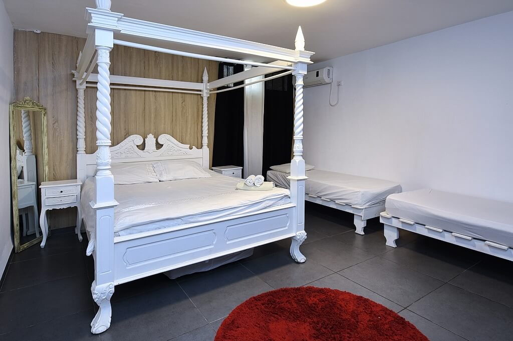 תמונה של דה וינצ'י - 5