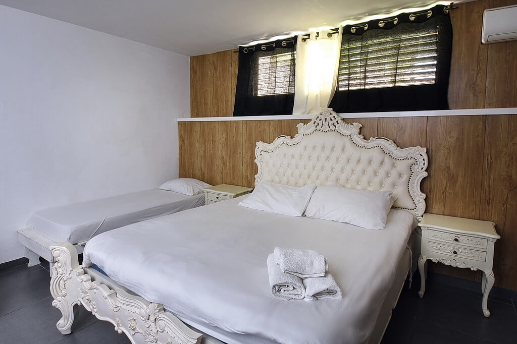 תמונה של דה וינצ'י - 6