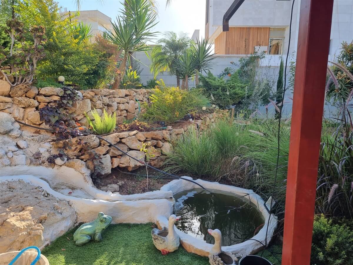 תמונה של סוויטת לימון - 13