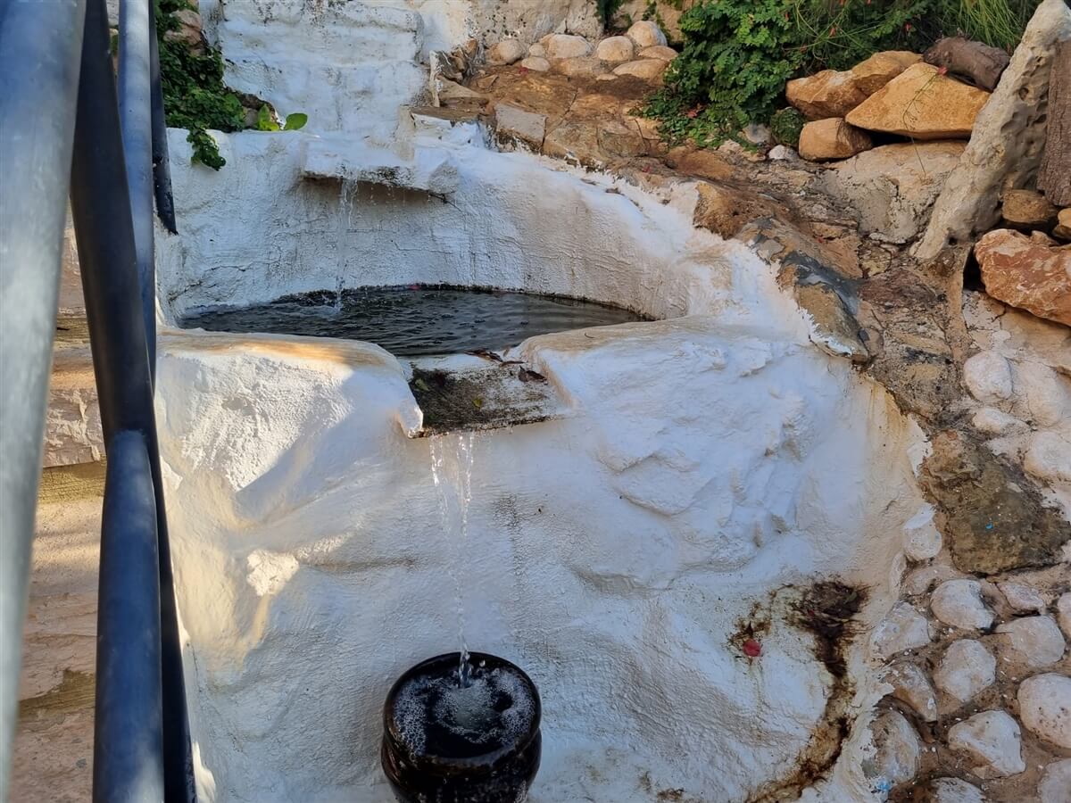 תמונה של סוויטת התפוח - 14