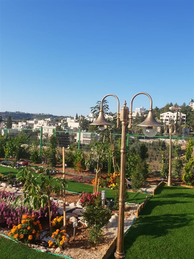 תמונה של סוויטת התפוח - 9