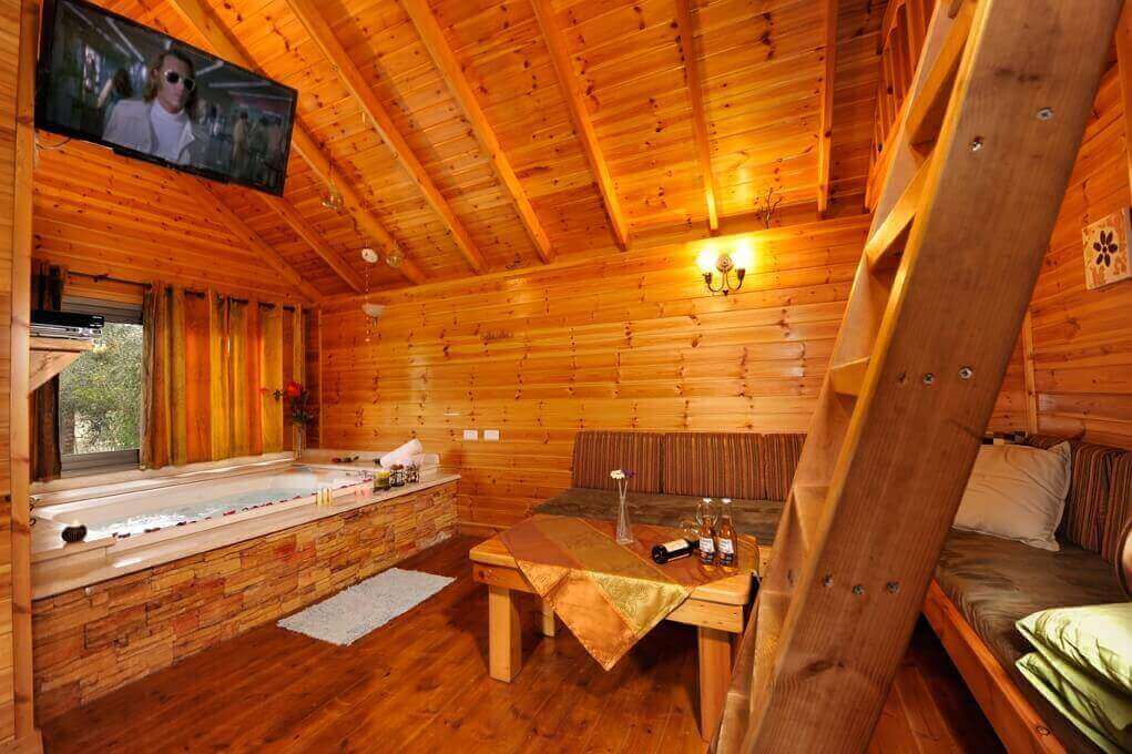 תמונה של בקתת תמר - 8