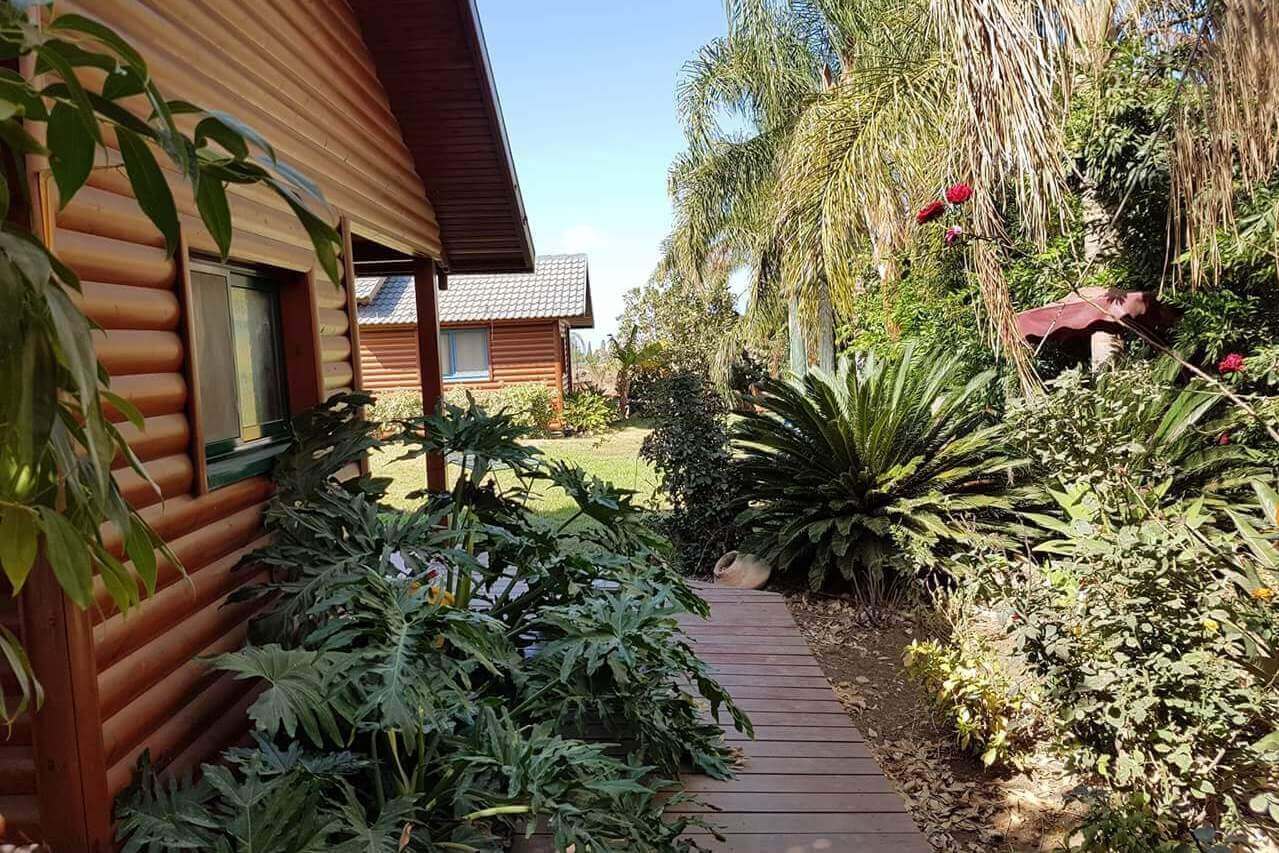 תמונה של בקתות העץ - 6