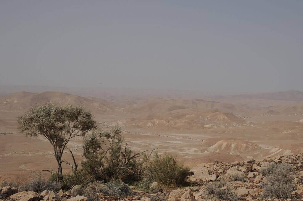 תמונה שצולמה בבסוף הדרך - עזוז - 1 תמונה של בסוף הדרך - עזוז - 1