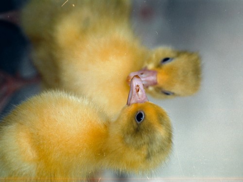תמונה של מרכז מבקרים