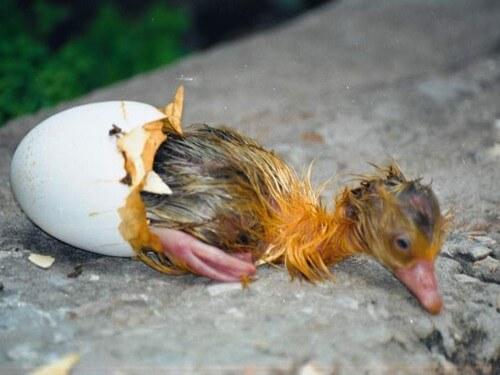 תמונה של מרכז מבקרים