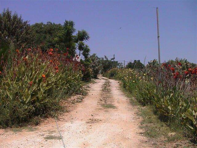 תמונה של סוויטות לזוגות - 5