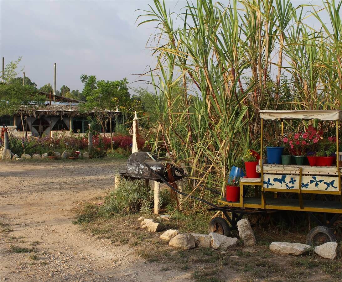 תמונה של חאן - לינה לקבוצות - 6