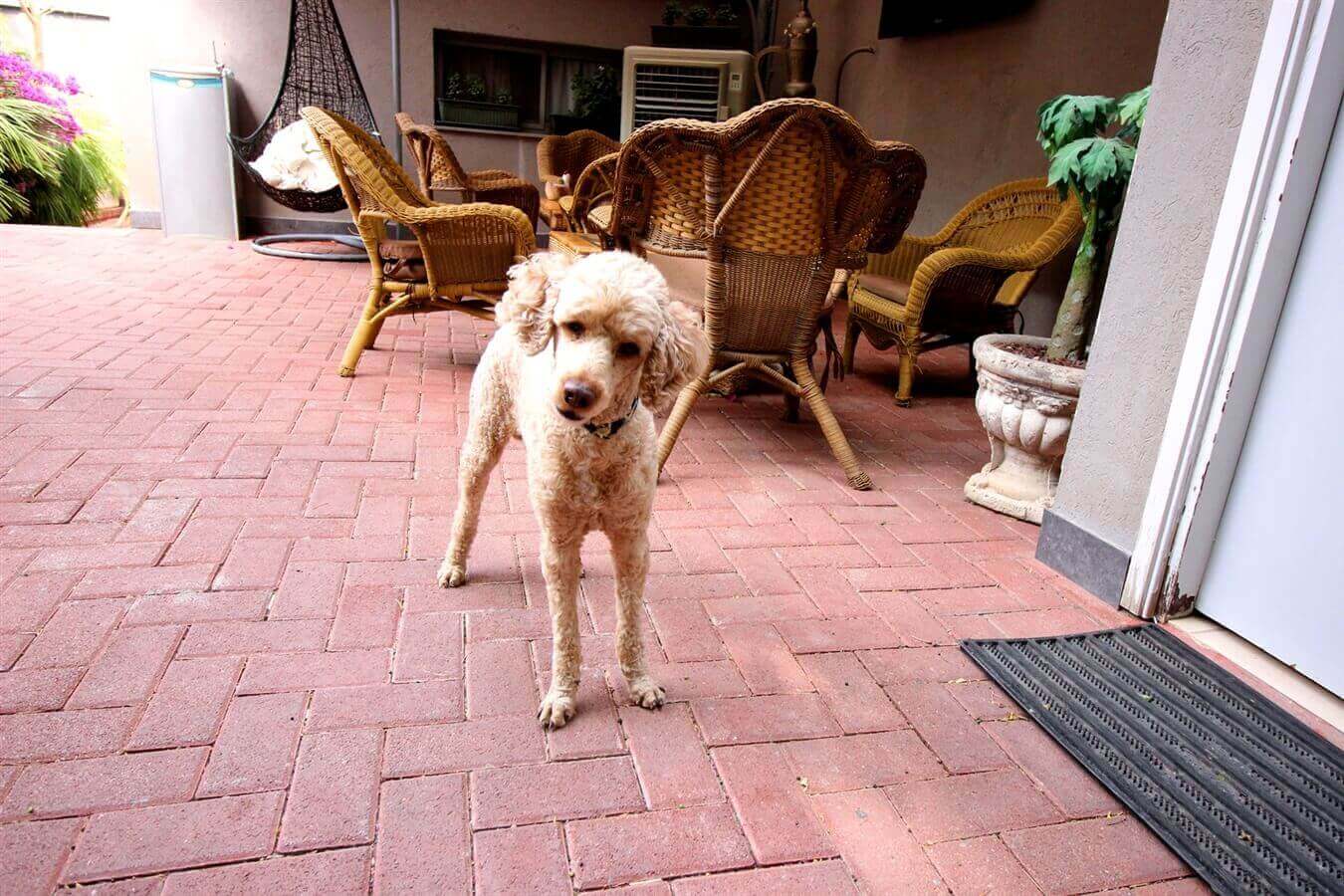 תמונה של חדר זוגי - 3