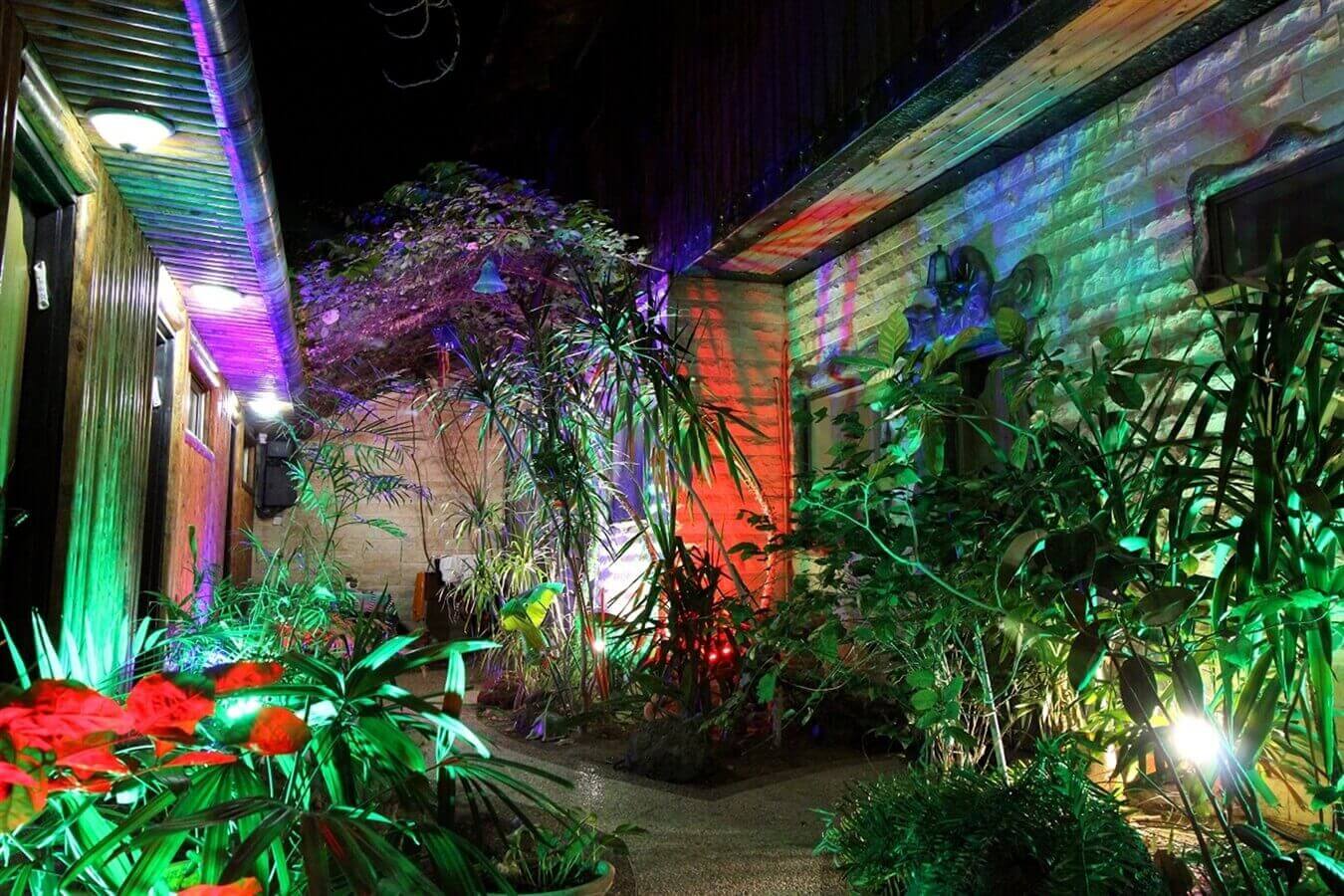 תמונה של חדר לארבעה - 5