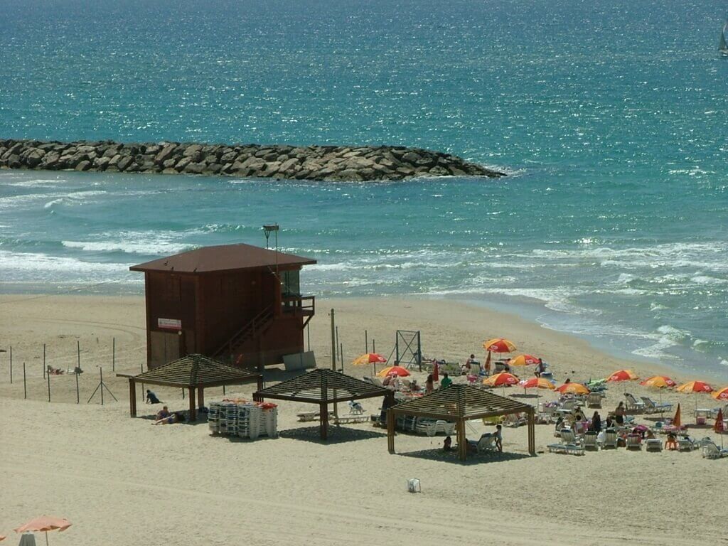 תמונה של הסוויטה  ההרמונית - 6