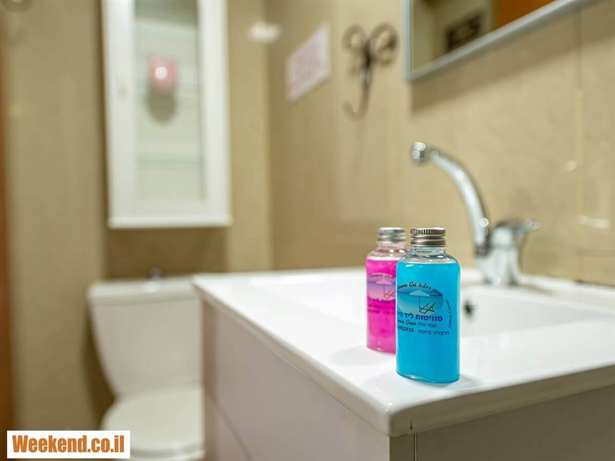 תמונה של הסוויטה עם הגינה - 7