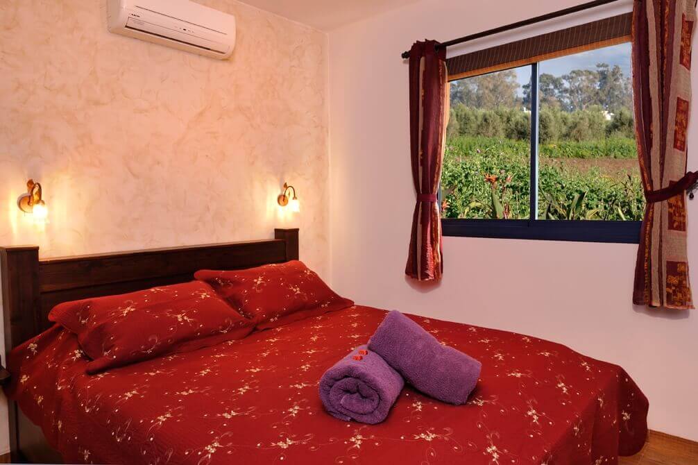 תמונה של הסוויטות - 1 תמונה של הסוויטות - 1