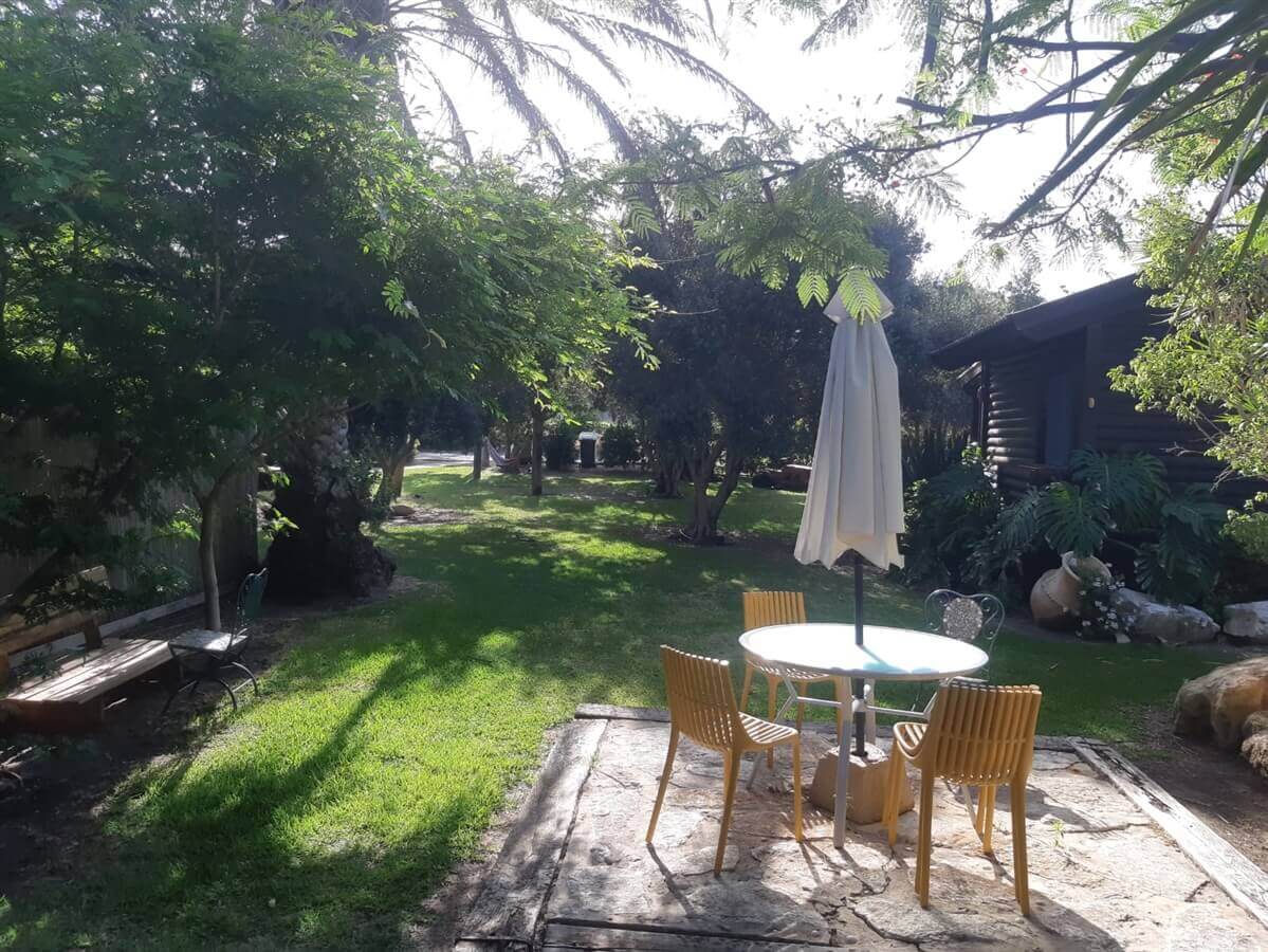 תמונה של הירוקה של הכרמל - 7