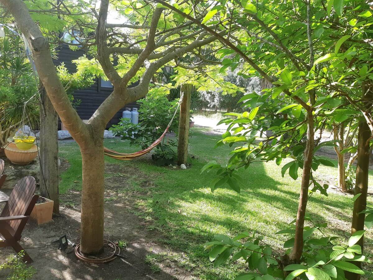 תמונה של הירוקה של הכרמל - 2